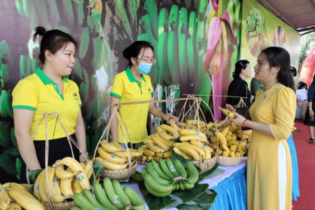Đồng Nai: Tín hiệu tốt cho xuất khẩu chuối tươi trong tương lai