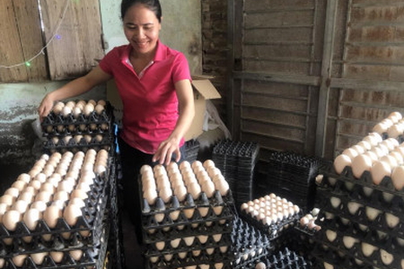 Chiêu trò "giải cứu" trứng gà của các thương lái, cơ quan chức năng cần vào cuộc