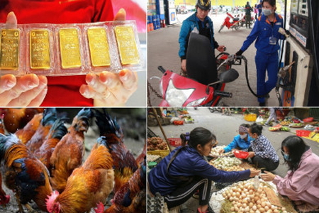 Tiêu dùng trong tuần (từ 20-26/2/2023): Giá nhiều mặt hàng giảm mạnh
