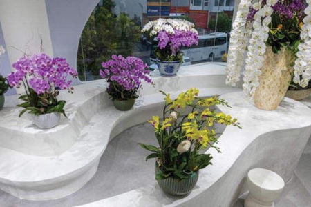 Không gian kinh doanh đầy cảm xúc