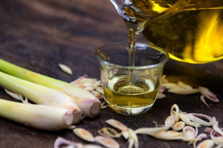 6 cách xua đuổi muỗi đơn giản, hoàn toàn tự nhiên