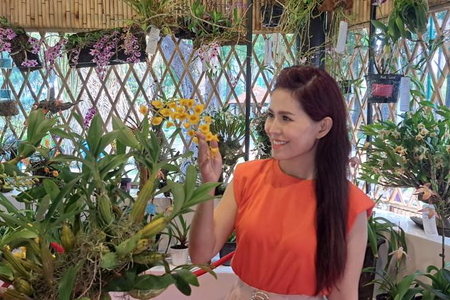 Hàng nghìn sắc hoa tại 'Festival Hoa lan TP Hồ Chí Minh lần thứ hai'