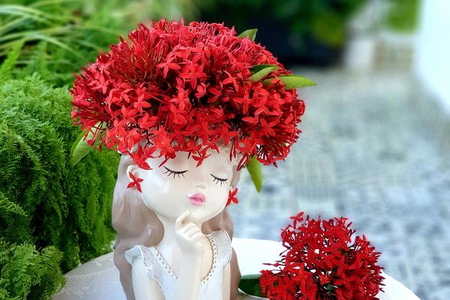 Tử vi hàng ngày - Thứ Năm 18/5/2023 của 12 cung hoàng đạo