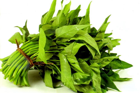 Cảnh giác với rau muống nhiễm chì
