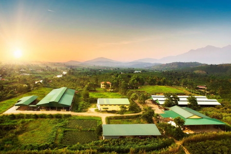 Lâm Đồng: Công ty bò Kobe Việt Nam vi phạm về môi trường, 4 năm qua không chịu khắc phục