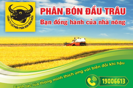 Đề xuất nâng mức giá dịch vụ đăng kiểm ô tô đối với 11 loại xe