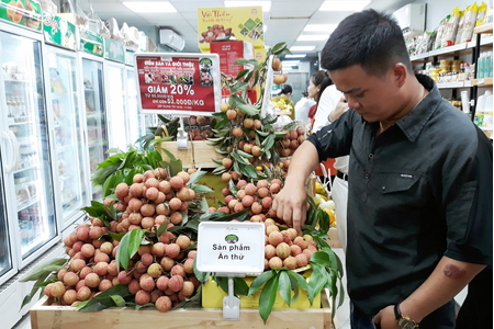 Hà Nội hỗ trợ tỉnh Hải Dương tiêu thụ vải thiều Thanh Hà