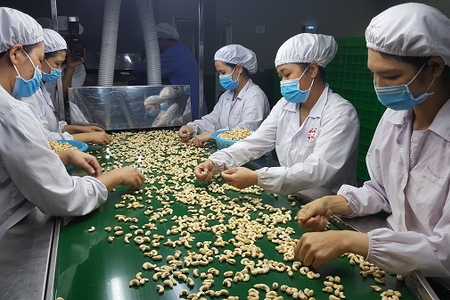 Hiệp hội điều đưa ra cảnh báo về chất lượng từ các bạn hàng lớn