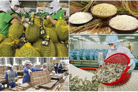 Chủ động thích ứng với Lệnh 280 khi xuất khẩu thực phẩm sang Trung Quốc