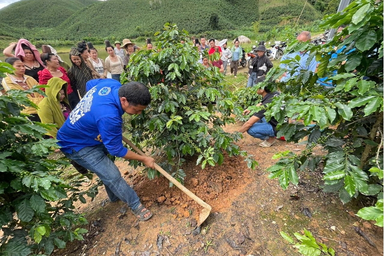 Công nghệ số vào truy xuất nông sản, hỗ trợ mục tiêu kim ngạch 100 tỷ USD