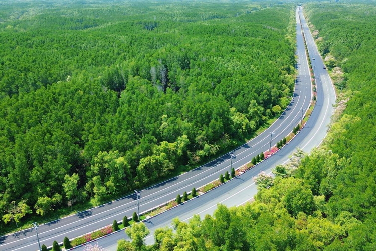 Hệ sinh thái thể thao - giải trí quốc tế: Đòn bẩy giá trị cho bất động sản Vịnh Tiên
