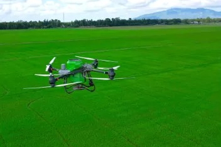 Bón Phân Phú Mỹ bằng Drone - Giải pháp tiết kiệm, an tâm cho mùa bội thu 