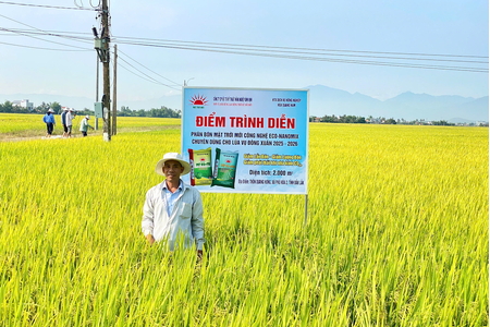 Hiệu quả rõ nét từ mô hình phân bón NPK thế hệ mới trên lúa tại Đắk Lắk