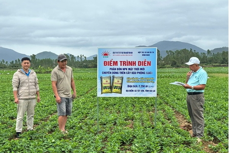 Mô hình phân bón chuyên dùng giúp cây lạc tăng năng suất 20% tại Gia Lai