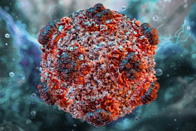 Việt Nam giám sát dịch bệnh tại cửa khẩu, phối hợp với WHO để phòng virus Hanta