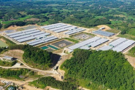 Thêm hàng loạt doanh nghiệp vi phạm thị trường chứng khoán