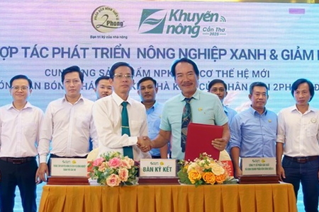 Phân bón 2Phong liên kết thúc đẩy sản xuất nông nghiệp xanh tại Cần Thơ