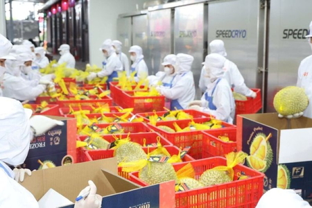 Xuất khẩu rau quả Việt Nam tăng tốc hướng tới mốc 10 tỷ USD