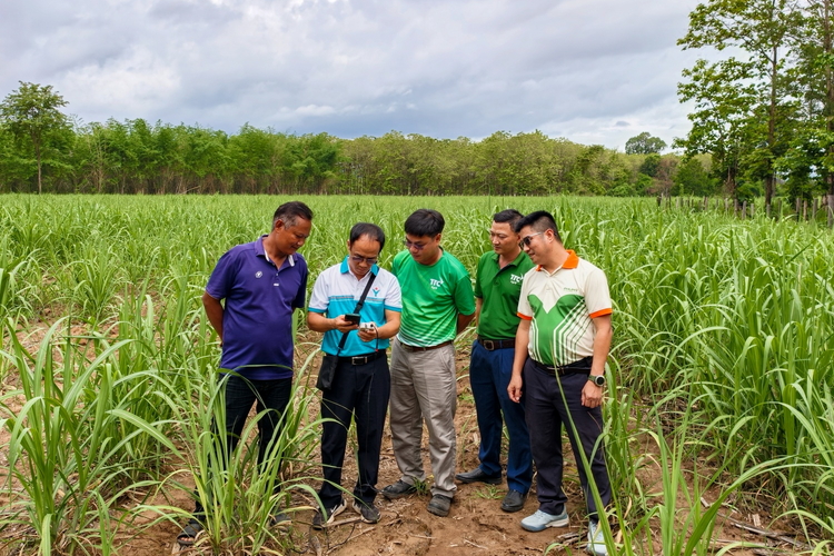 Bứt phá từ nền tảng sản xuất: PVFCCo lập “cú đúp” tại Vietnam I4 Impact Awards 2026
