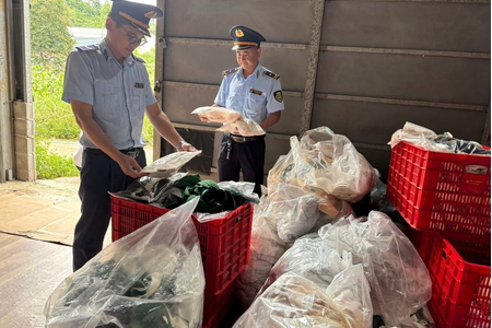 Phát hiện, tịch thu số lượng lớn quần áo nữ không có hóa đơn, chứng từ hợp pháp tại Lạng Sơn