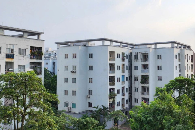 Nhà ở cho thuê: Kiến tạo để đột phá