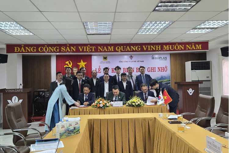 Hợp tác ba bên thúc đẩy ngành cà phê Việt Nam phát triển xanh và hội nhập quốc tế