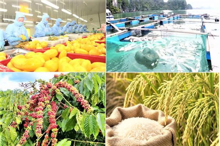 Xuất khẩu nông, lâm, thủy sản tăng hơn 10% so với cùng kỳ