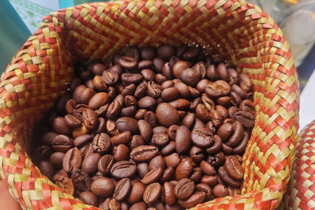 Giá nông sản ngày 11/7/2026: Cà phê bật tăng mạnh, áp sát mốc 99.000 đồng/kg
