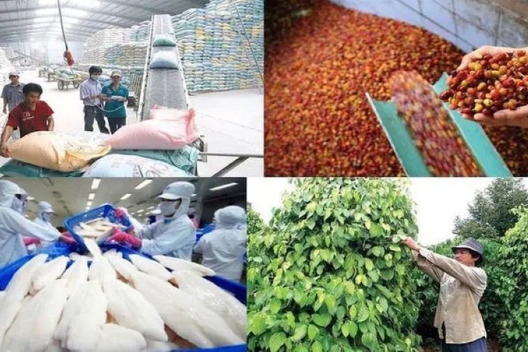 Xuất khẩu nông lâm thủy sản từ 70 đến 100 tỷ USD: Cần những bước đột phá mới