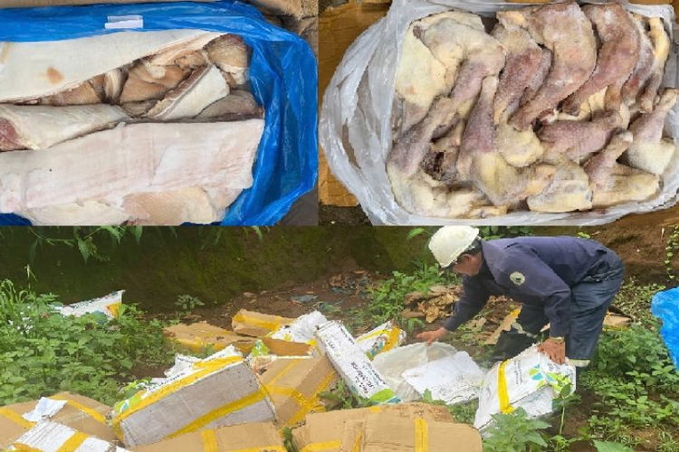 Gia Lai: Xử lý và tiêu hủy gần 1 tấn thịt heo, đùi gà đông lạnh không rõ nguồn gốc