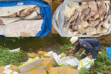 Gia Lai: Xử lý và tiêu hủy gần 1 tấn thịt heo, đùi gà đông lạnh không rõ nguồn gốc