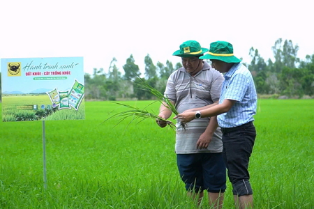 Đổi mới tư duy trên vùng đất phèn để tăng hiệu quả trồng lúa