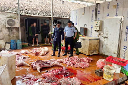 Chuyển cơ quan điều tra vụ gần 1 tấn thịt lợn nghi nhiễm dịch tả lợn châu Phi tại Hưng Yên