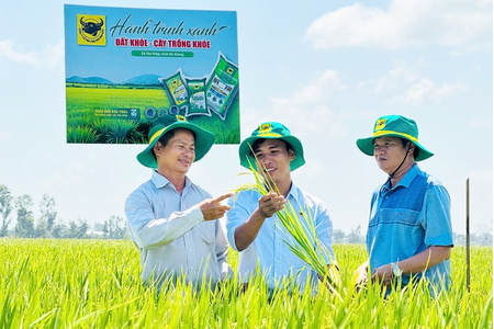 Đổi tư duy canh tác, nông dân An Giang nâng hiệu quả sản xuất lúa