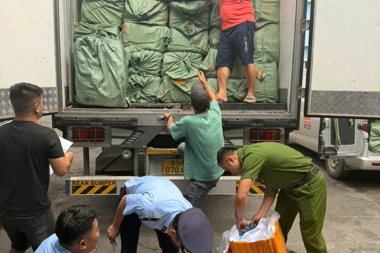 Kiểm tra, tạm giữ gần 17 tấn thực phẩm đông lạnh không rõ nguồn gốc, xuất xứ
