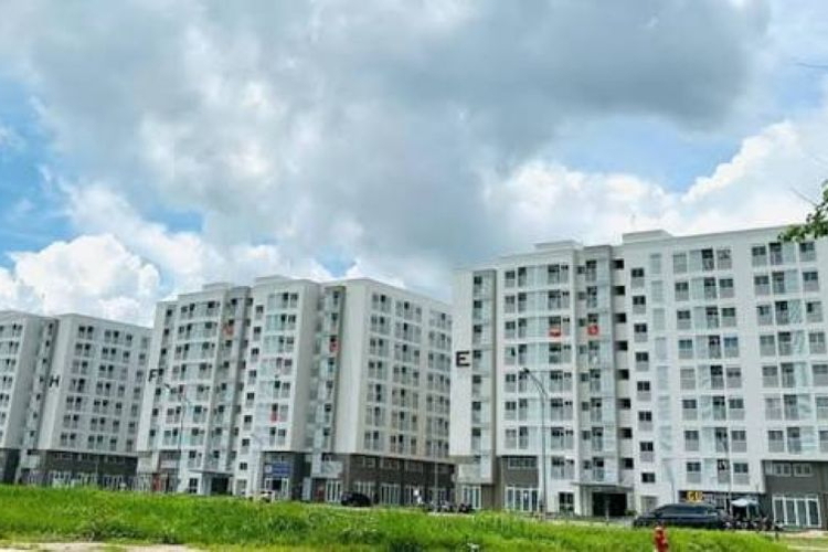 Có 6 tháng nghỉ thai sản, xác nhận thu nhập mua nhà ở xã hội thế nào?