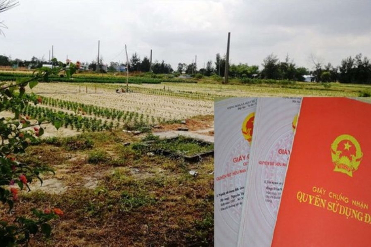 Đất có thông báo thu hồi có được cấp đổi Giấy chứng nhận?