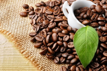 Giá nông sản ngày 11/8/2026: Cà phê lấy lại sắc xanh, heo hơi tiếp tục hạ nhiệt