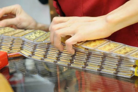 Giá vàng ngày 11/8/2026: Vàng miếng đồng loạt tăng