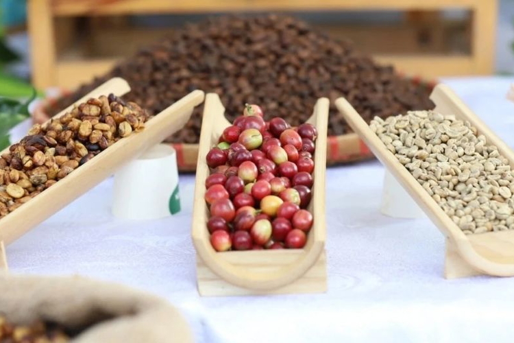 Giá nông sản ngày 17/8/2026: Cà phê mất mốc 95.000 đồng/kg, heo hơi tiếp đà giảm