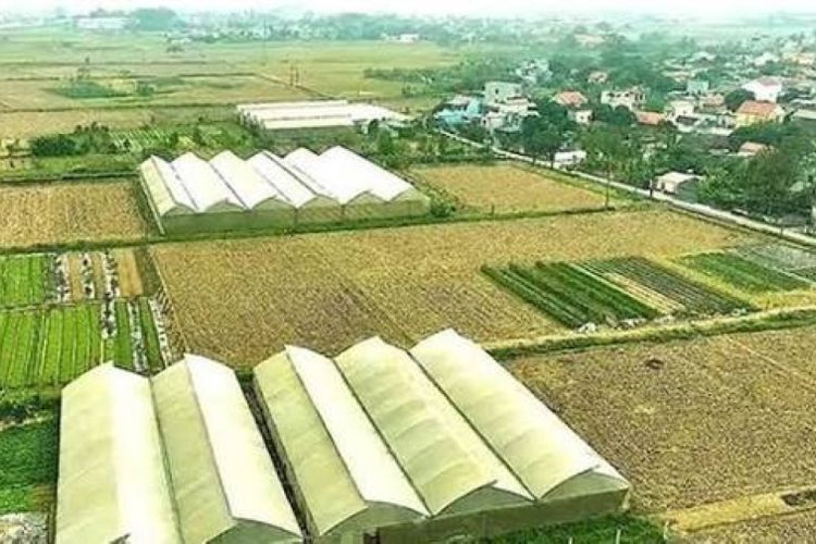 Điều kiện chuyển mục đích sử dụng đất sau dồn điền đổi thửa