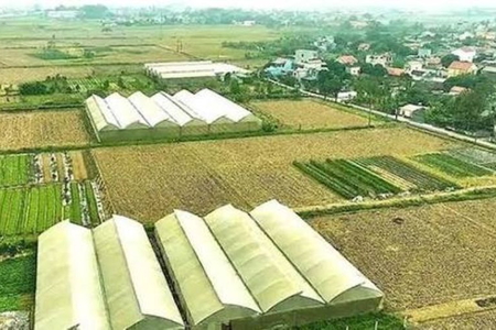 Điều kiện chuyển mục đích sử dụng đất sau dồn điền đổi thửa