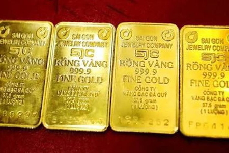 Giá vàng ngày 31/8/2026: Vàng miếng đứng yên ở mức cao