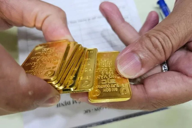 Giá vàng ngày 12/9/2026: Vàng miếng và vàng nhẫn đồng loạt giảm sâu