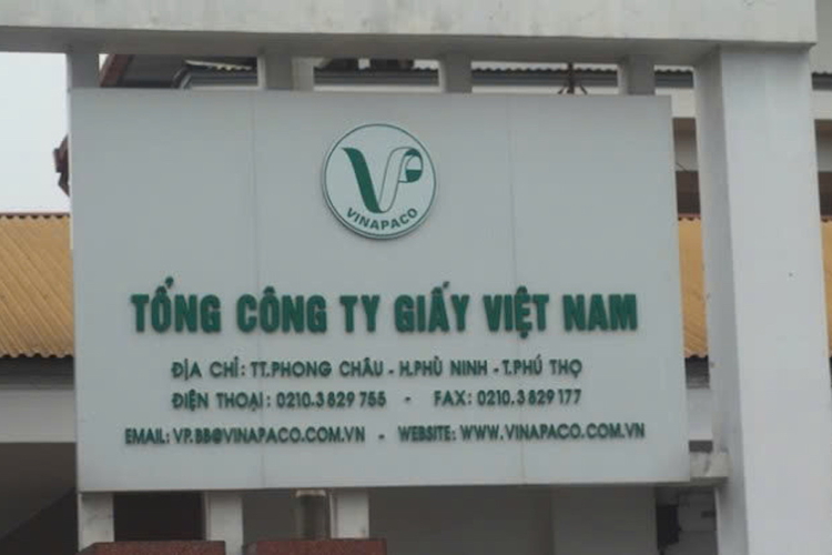 Sai phạm đất đai tại VINAPACO: Đề nghị chuyển điều tra nếu có dấu hiệu hình sự