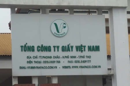Sai phạm đất đai tại VINAPACO: Đề nghị chuyển điều tra nếu có dấu hiệu hình sự