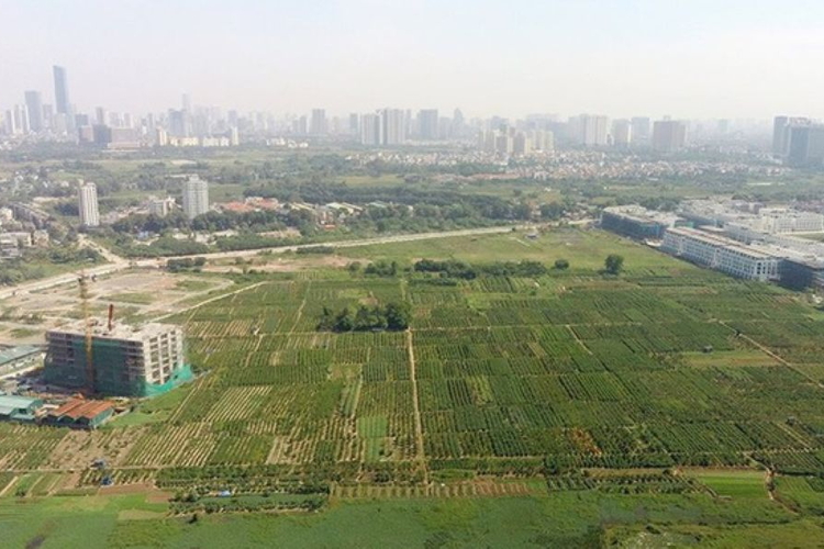 Căn cứ quy hoạch nào để thực hiện thủ tục đất đai?