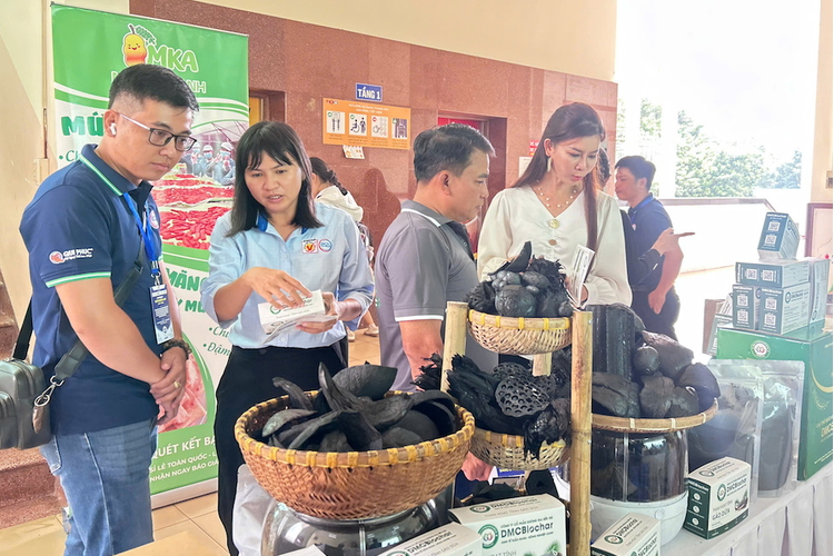 Bán kết Khởi nghiệp Xanh 2026: Mở ví người tiêu dùng bằng cách nào?
