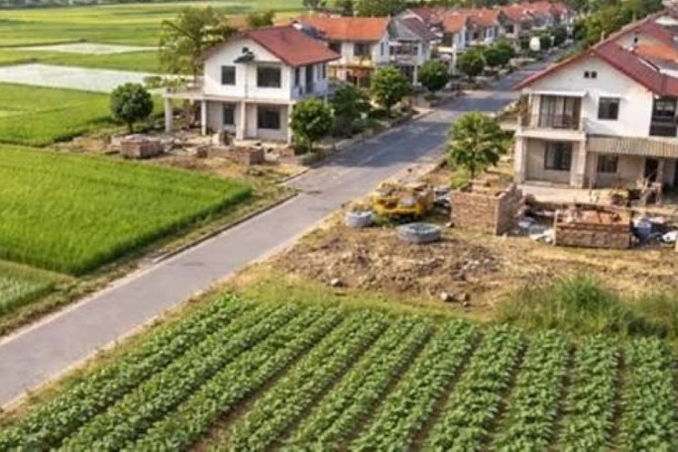 Chuyển đất nông nghiệp sang đất ở phải phù hợp quy hoạch nào?