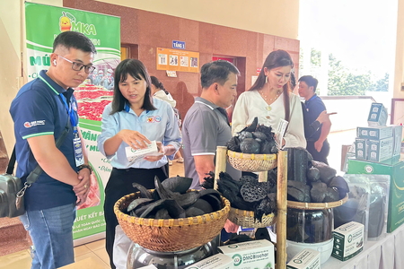 Bán kết Khởi nghiệp Xanh 2026: Mở ví người tiêu dùng bằng cách nào?